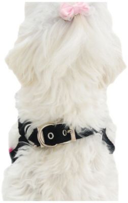 FouFou Dog Founess Classic Harness