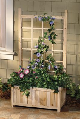 Cedar Flower Planter w/Trellis