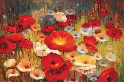 Meadow Poppies I Canvas Wall Art