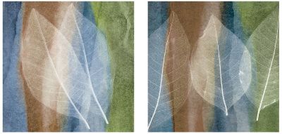 Leaf Structure Canvas Wall Art