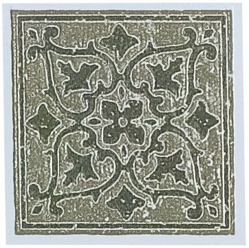 Solid and Accent Kitchen Tiles