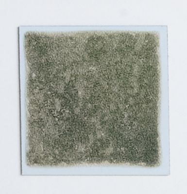 Solid and Accent Kitchen Tiles