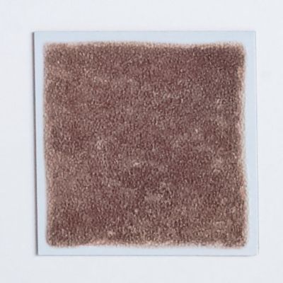 Solid and Accent Kitchen Tiles