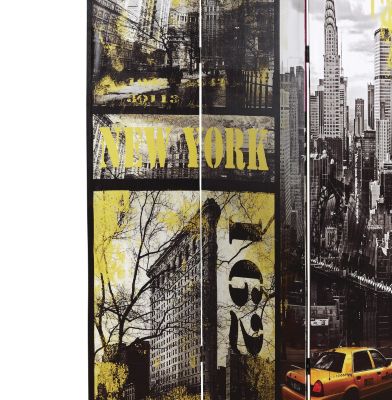 New York City and Paris Photo Screen