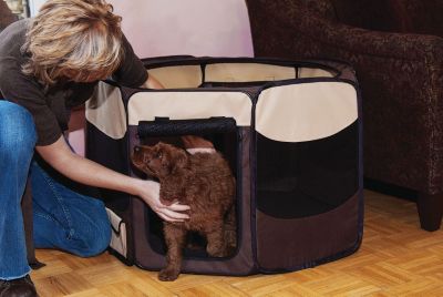 Pet Gear Travel Lite Medium Soft Sided Pet Pen