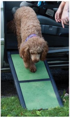 Pet Gear Bi-Fold Pet Ramp