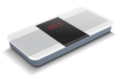 Electronic Travel Scale