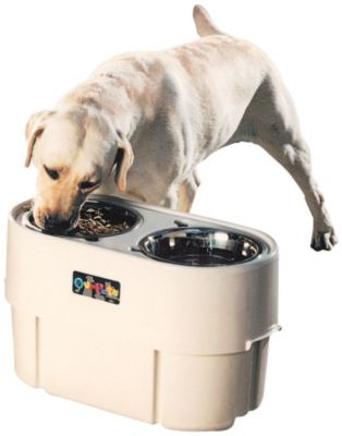 Our Pets Store N Feed Adjustable Feeder