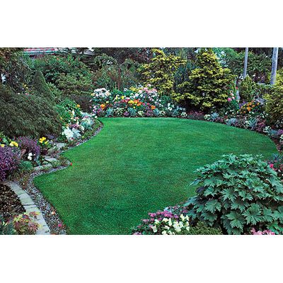 Lipenwald Quicklawn Grass Seed