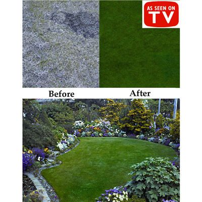 Lipenwald Quicklawn Grass Seed