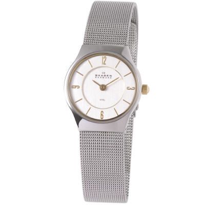 Skagen Stainless Steel Mesh Watch