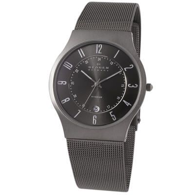 Skagen Titanium & Stainless Steel Mesh Watch