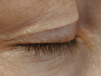 Rapidlash Eyelash Renewal Serum