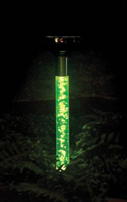 Set/3 Color Changing Bubble Light