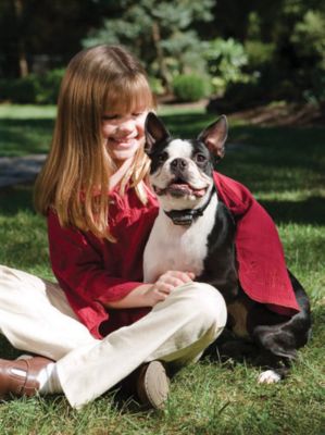 Little Dog Bark Control Collar