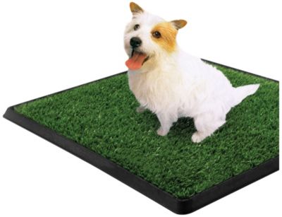 PetZoom Pet Park Large 30x20