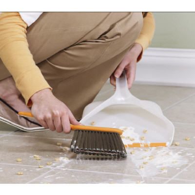 Bissell Dustpan Set