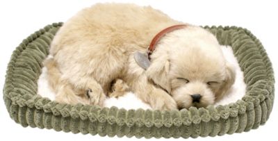 Perfect Petzzz Golden Retriever