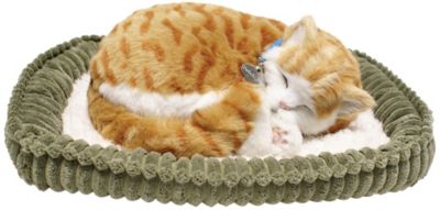 Perfect Petzzz Tabby Cat