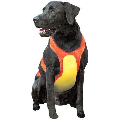 Save 50% Remington Chest Protector for DogLarge
