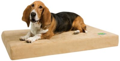 Dog Pedic Sleep System-Medium