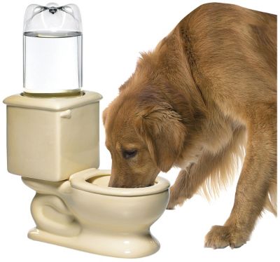 Ceramic Toilet Pet Water Bowl
