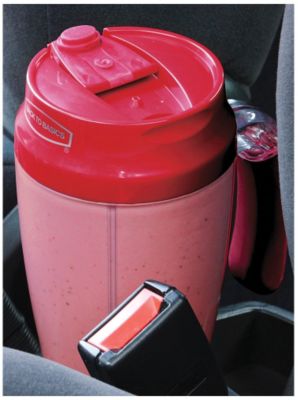Back to Basics Smoothie Express
