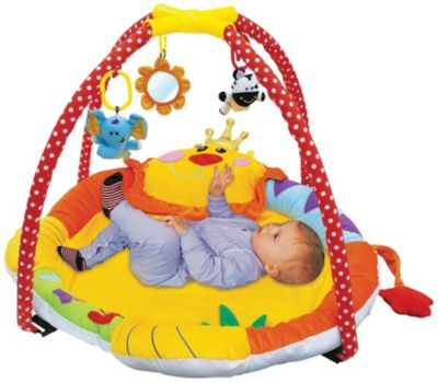 Lion Play Gym