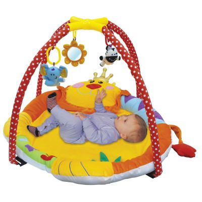 Lion Play Gym