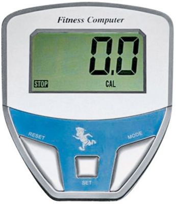 Body Flex Deluxe Stride Cycle