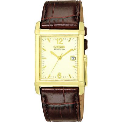 Citizen Men's Eco Drive Brown Leather Watch