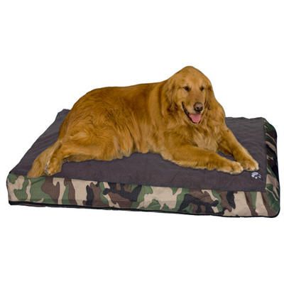 Pet Gear Sportsman 36