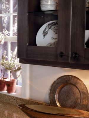 Glass Insert, Clear (with Maple Grotto)