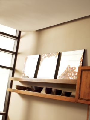 Shelves