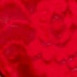 RED LACQUER
