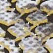 GOLD SNAKESKIN