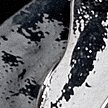 SHINY SILVER