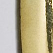 SHINY GOLD