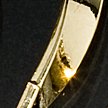 SHINY GOLD