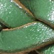 POLO GREEN