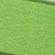 CITRUS GREEN