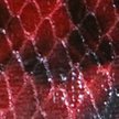 RED LACQUER