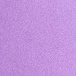 BUSH VIOLET
