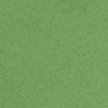 HEDGE