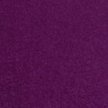 BLACK CURRANT