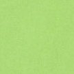 PARAKEET