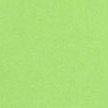 PARAKEET