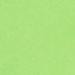 PARAKEET