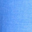 SHOCKING BLUE