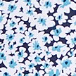 SCUBA BLUE